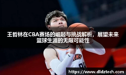 王哲林在CBA赛场的崛起与挑战解析,展望未来篮球生涯的无限可能性